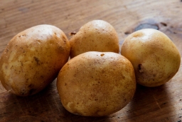 Ирландские сорта картофеля адаптированные в России.
